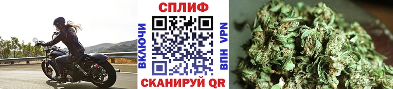 ГАШИШ Сосновоборск