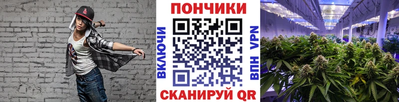 Шишки марихуана конопля  Купить закладки  Сосновоборск 